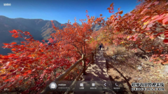 北京的秋天有多美？快拿手机用VR记录一下吧！